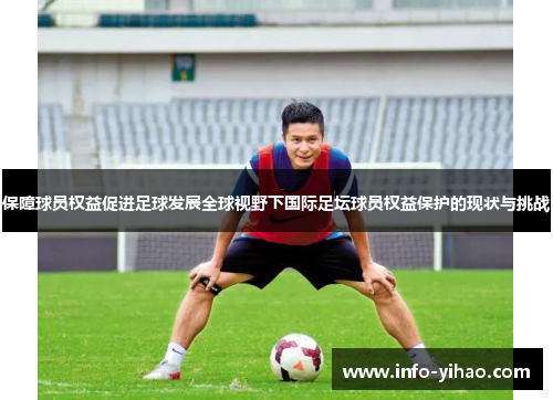保障球员权益促进足球发展全球视野下国际足坛球员权益保护的现状与挑战