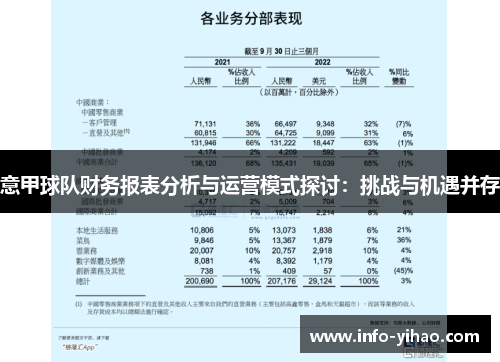 意甲球队财务报表分析与运营模式探讨：挑战与机遇并存