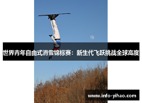 世界青年自由式滑雪锦标赛：新生代飞跃挑战全球高度