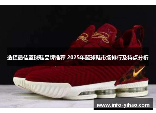 选择最佳篮球鞋品牌推荐 2025年篮球鞋市场排行及特点分析