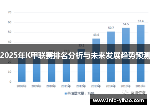 2025年K甲联赛排名分析与未来发展趋势预测