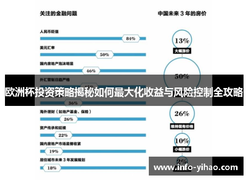 欧洲杯投资策略揭秘如何最大化收益与风险控制全攻略