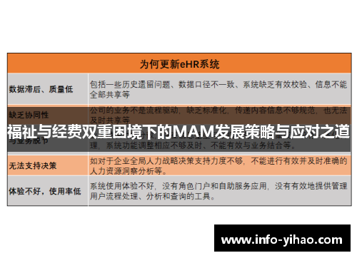 福祉与经费双重困境下的MAM发展策略与应对之道