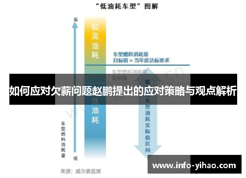 如何应对欠薪问题赵鹏提出的应对策略与观点解析