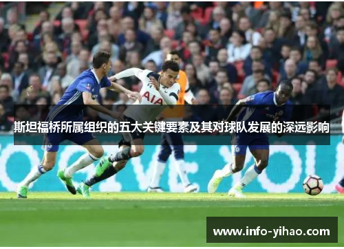 斯坦福桥所属组织的五大关键要素及其对球队发展的深远影响