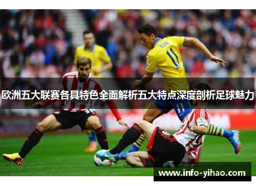 欧洲五大联赛各具特色全面解析五大特点深度剖析足球魅力